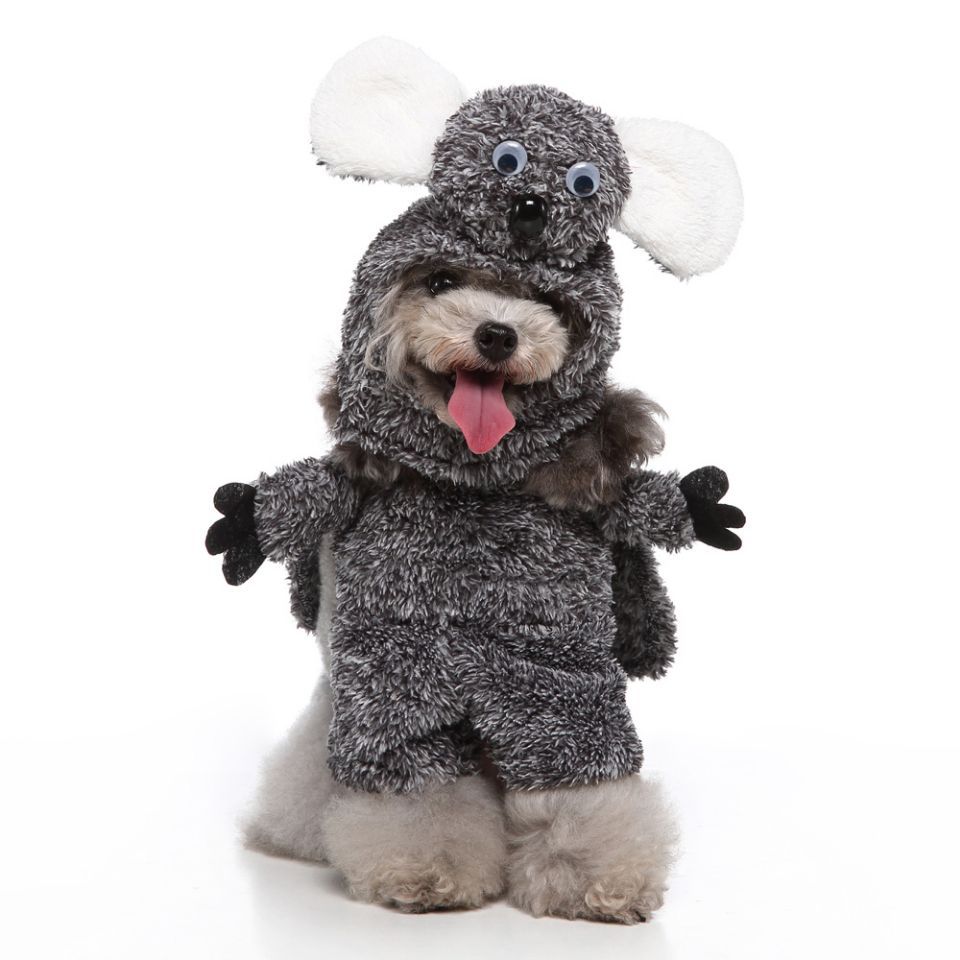 Pet Costume Outfit for Dogs – Festive Dress for Parties & Photos