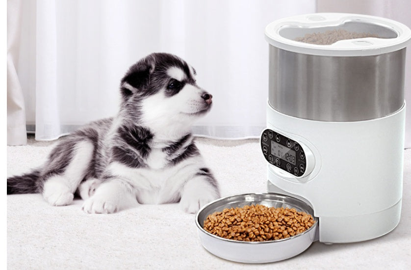 Automatic Smart Pet Feeder with App Control – Fresh Meals Anytime | Dogs & Cats