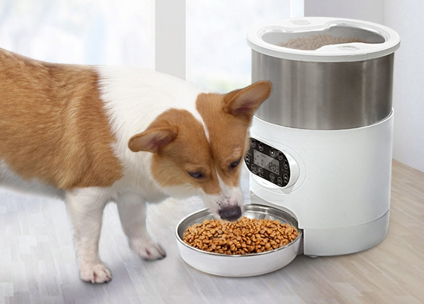 Automatic Smart Pet Feeder with App Control – Fresh Meals Anytime | Dogs & Cats