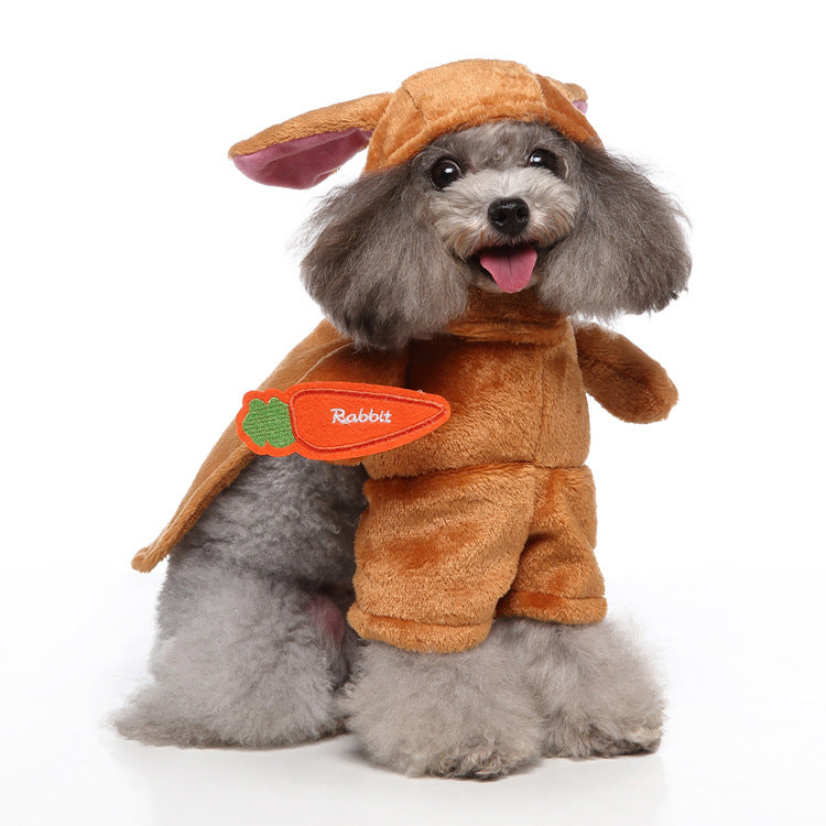Pet Costume Outfit for Dogs – Festive Dress for Parties & Photos