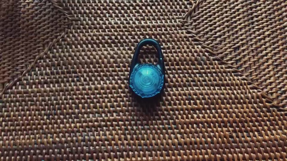 Pet Led Luminescent Pendant Dog Walking Light